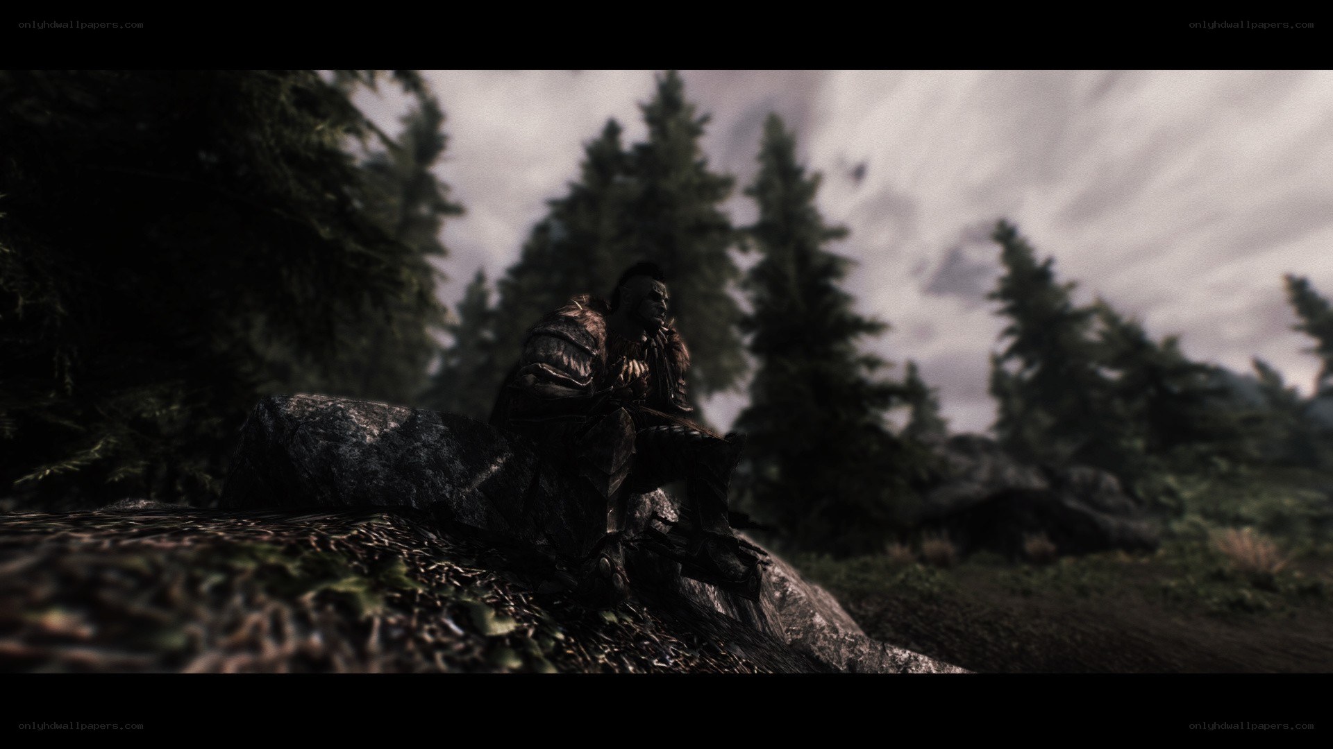 orc sitting on a rock