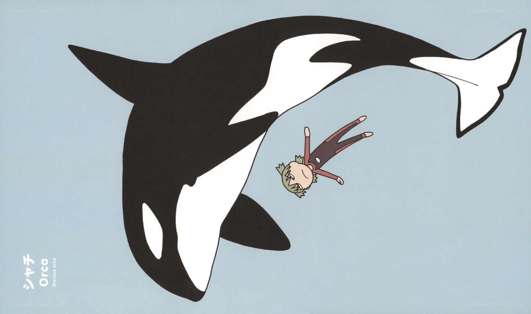 Orca and a falling character