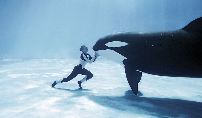 Orca and trainer underwater