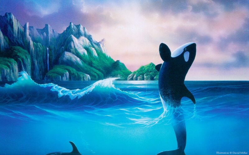 Orca breaching near mountains