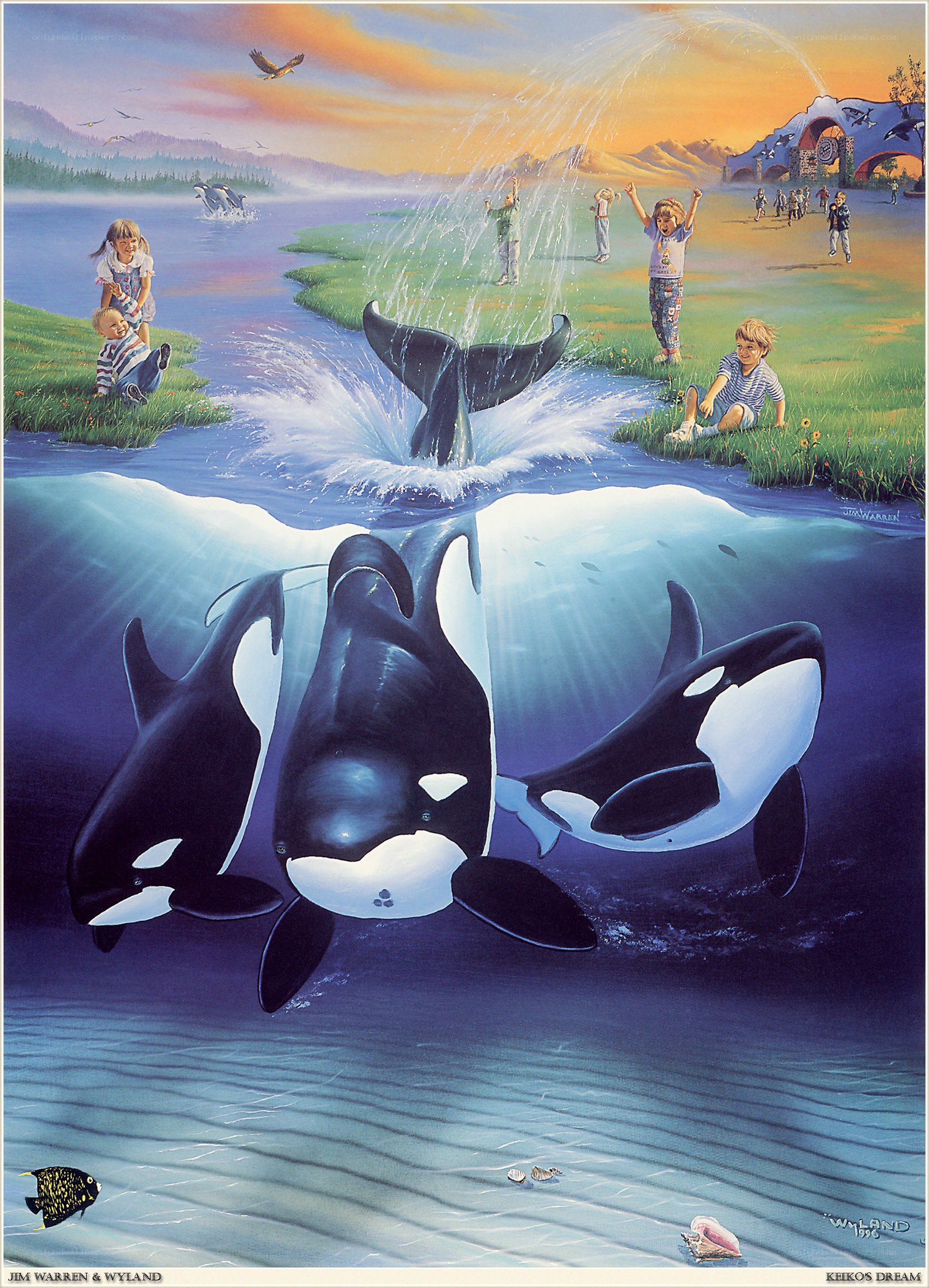 Orca Encounter Dream