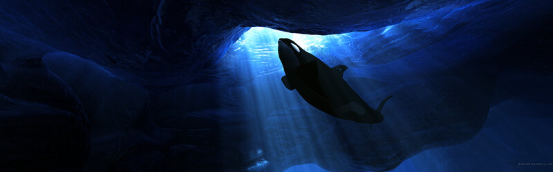Orca in underwater cave