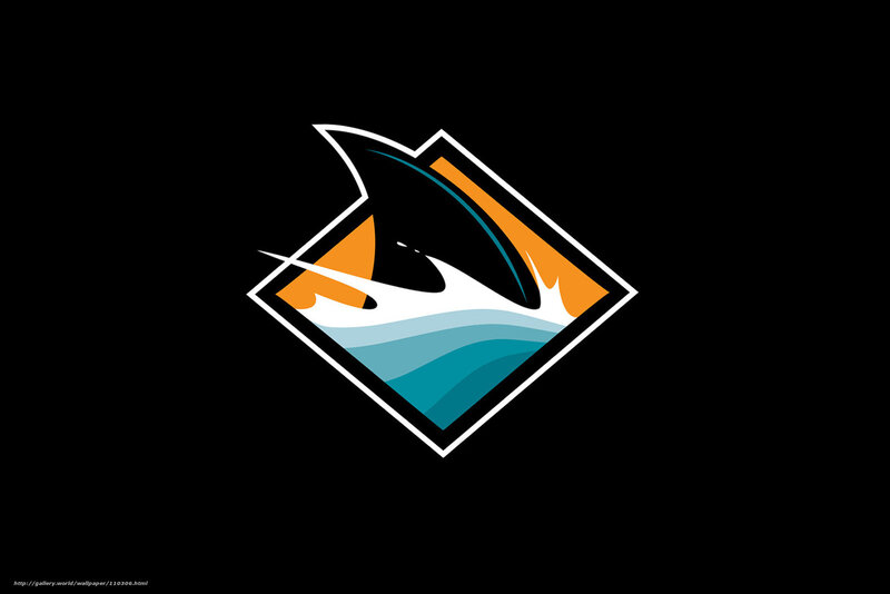 Orca logo on black background