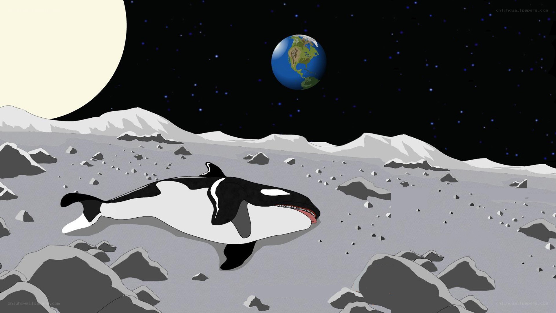 Orca on the Moon