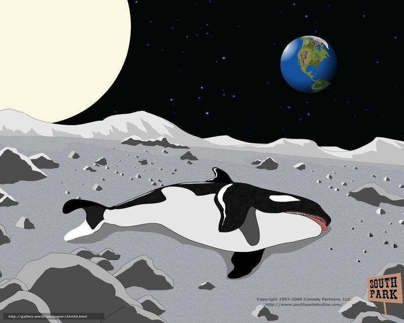 Orca on the Moon
