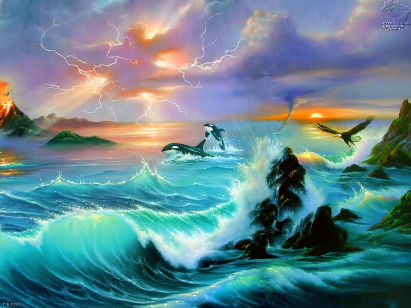 Orca whales in stormy sea