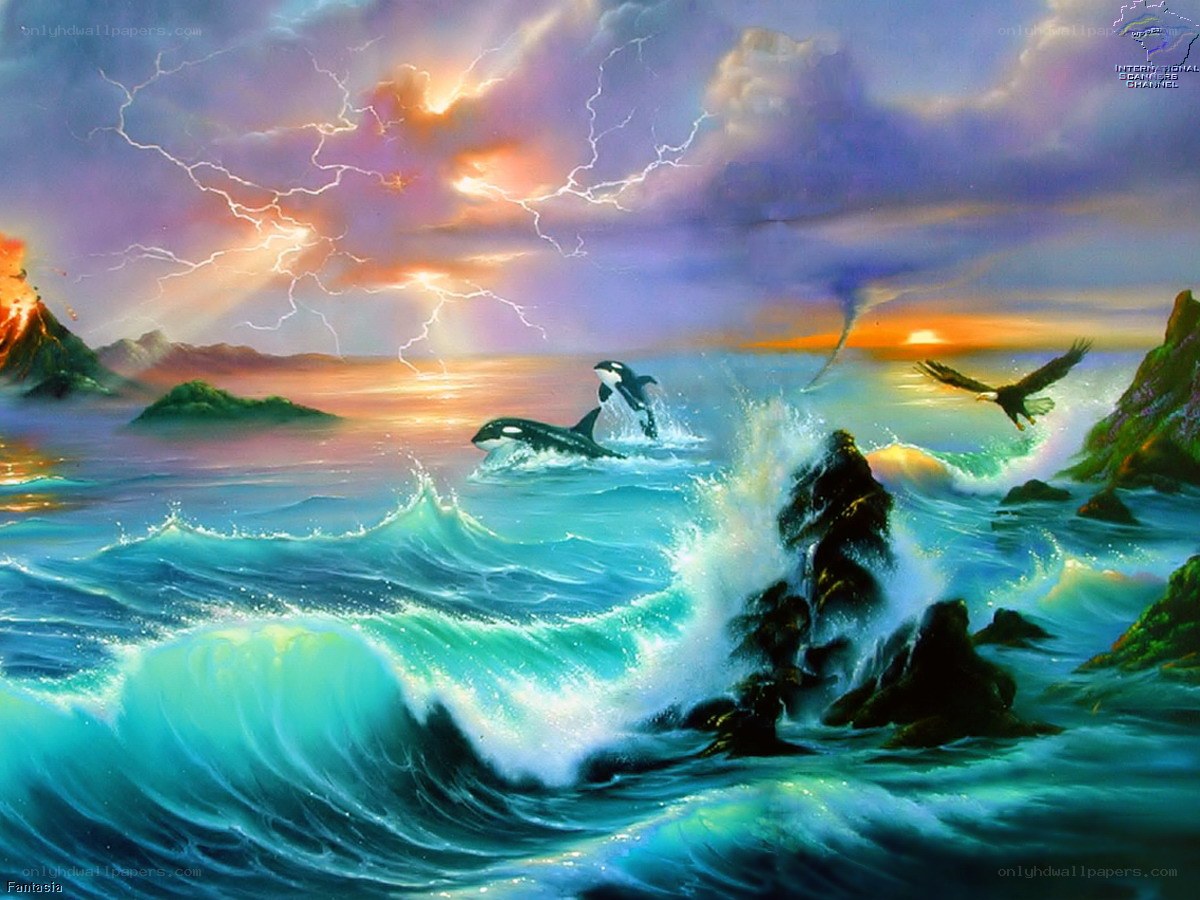 Orca whales in stormy sea