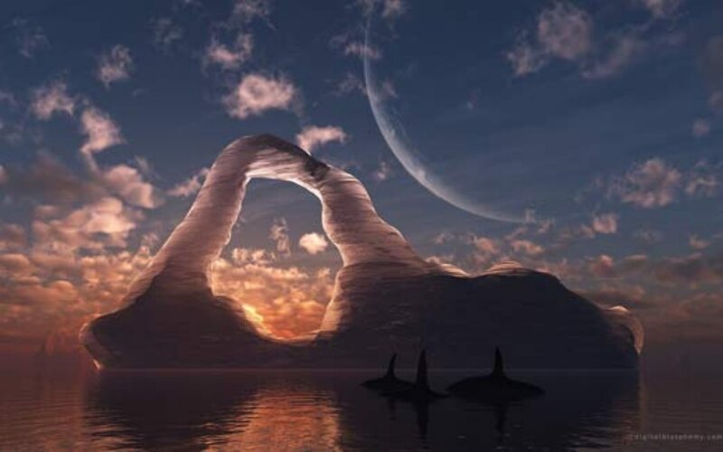 Orca whales near arch formation