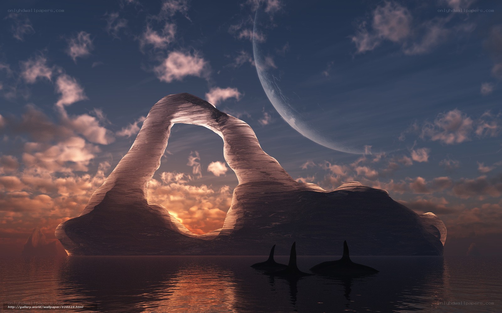 Orca whales near arch formation
