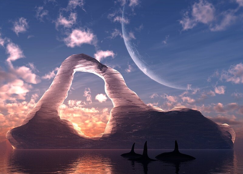 Orca whales near ice arch