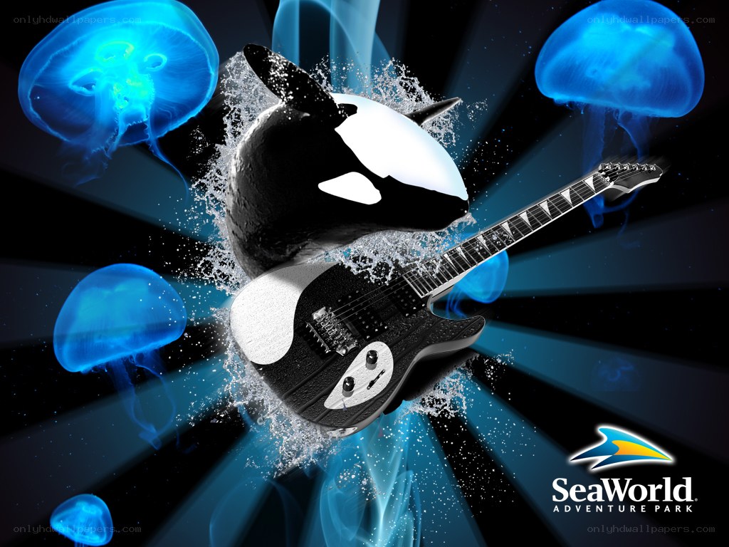 Orca with guitar and jellyfish