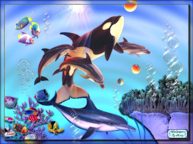 Orcas and Dolphins Swimming