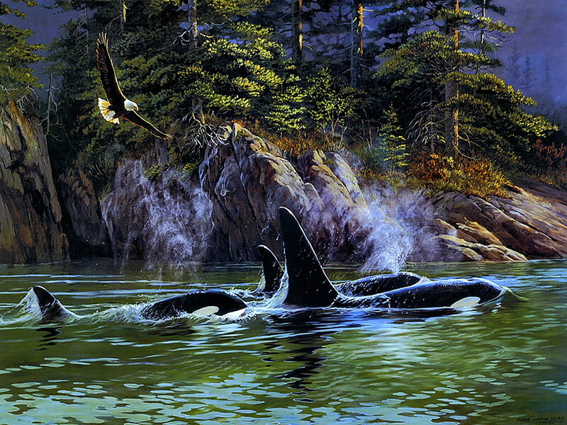 Orcas and Eagle