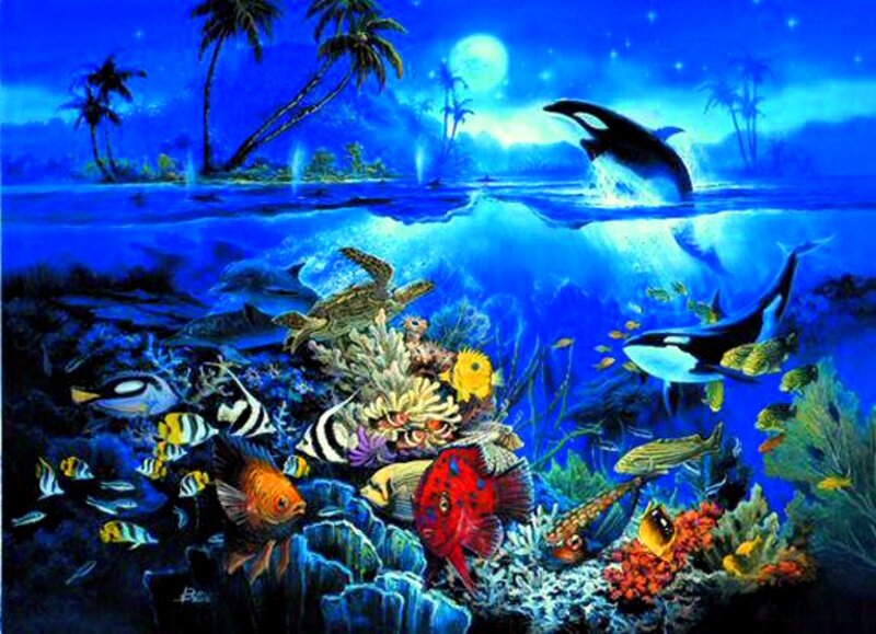 Orcas and Tropical Fish