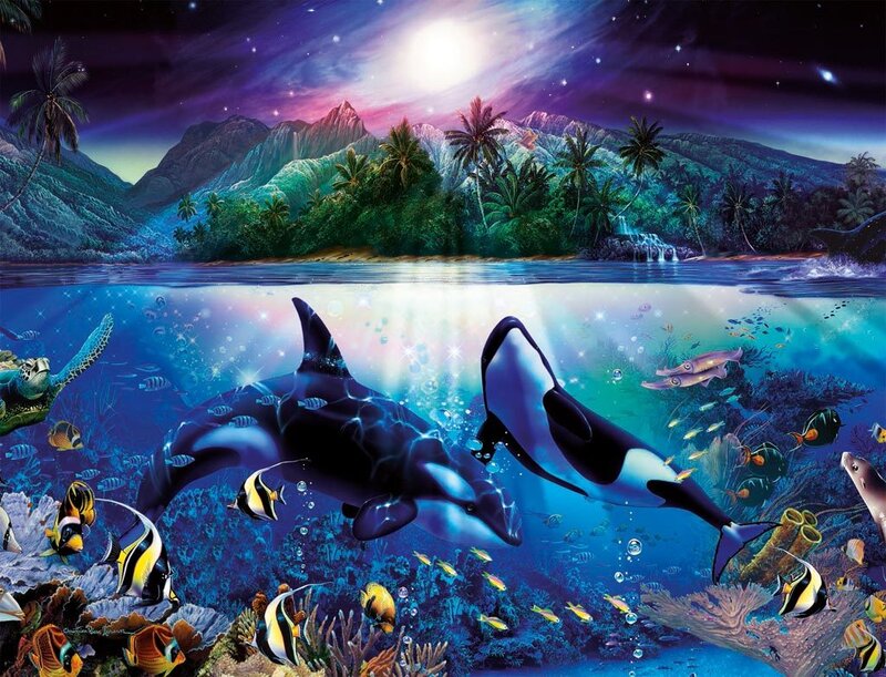 Orcas in Coral Reef