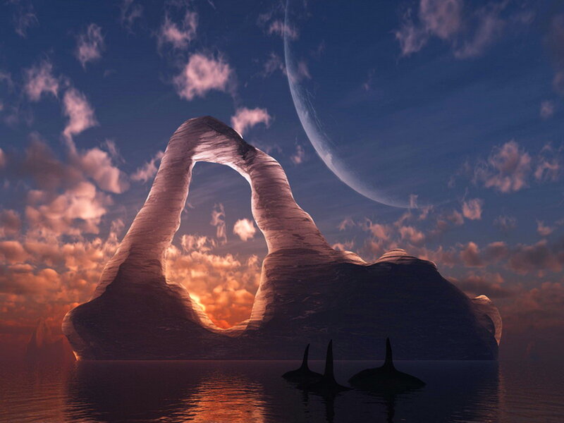 Orcas Near Rock Arch — Blue