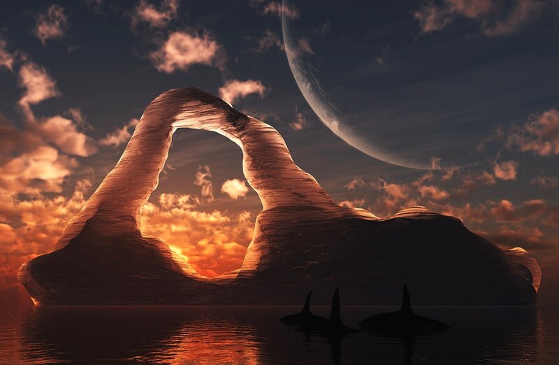 Orcas Near Rock Arch — Orange