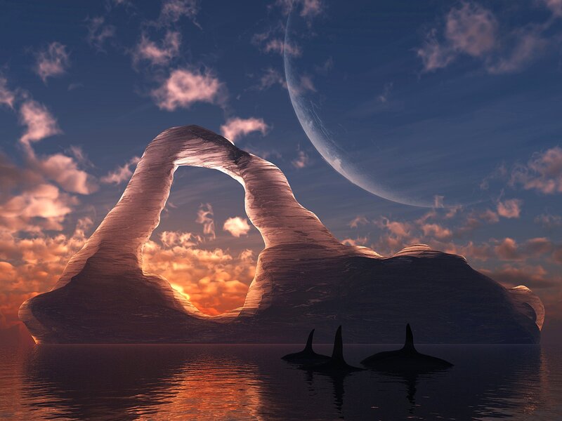 Orcas Near Rock Arch