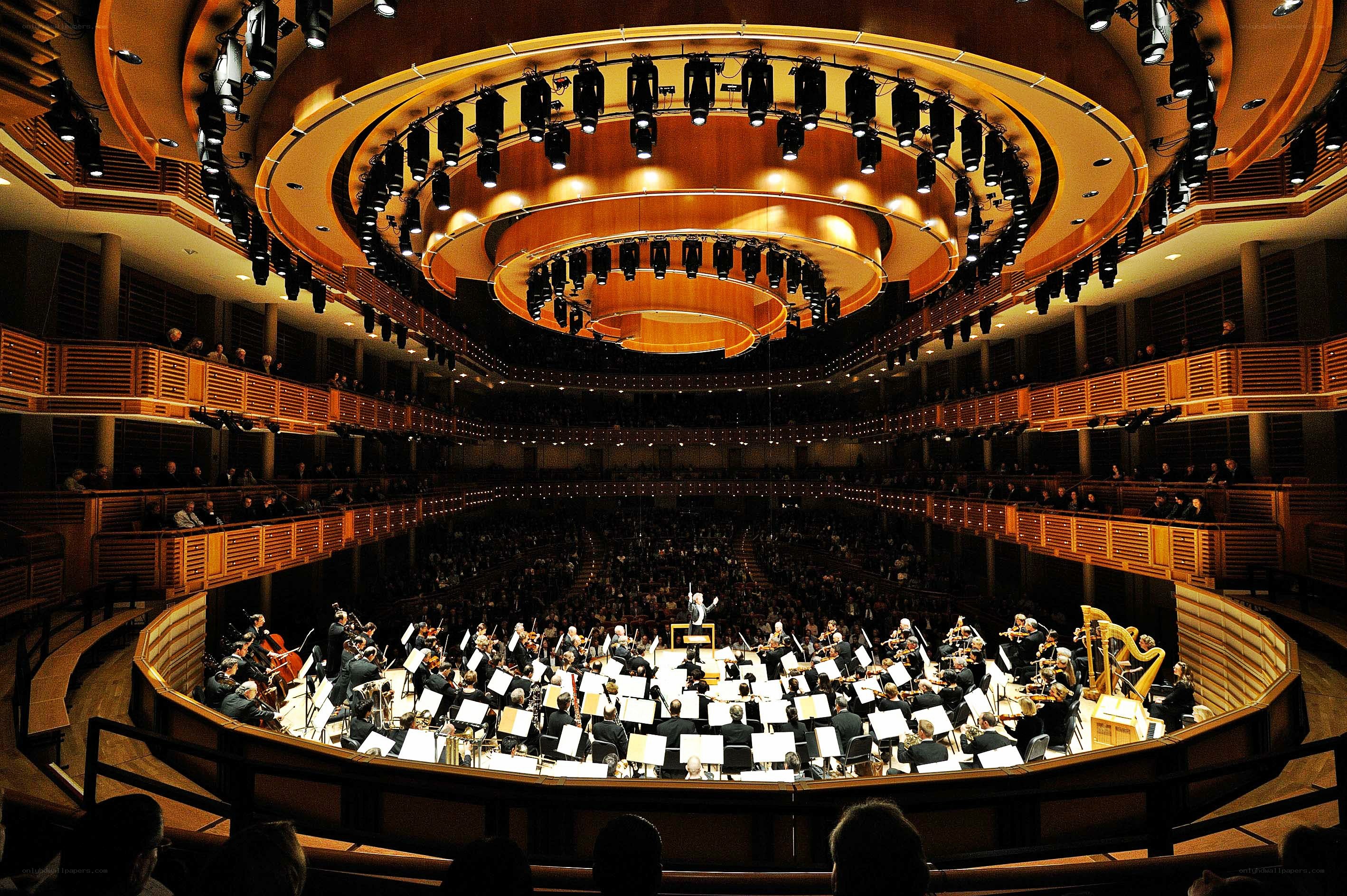 Orchestra performing in concert hall