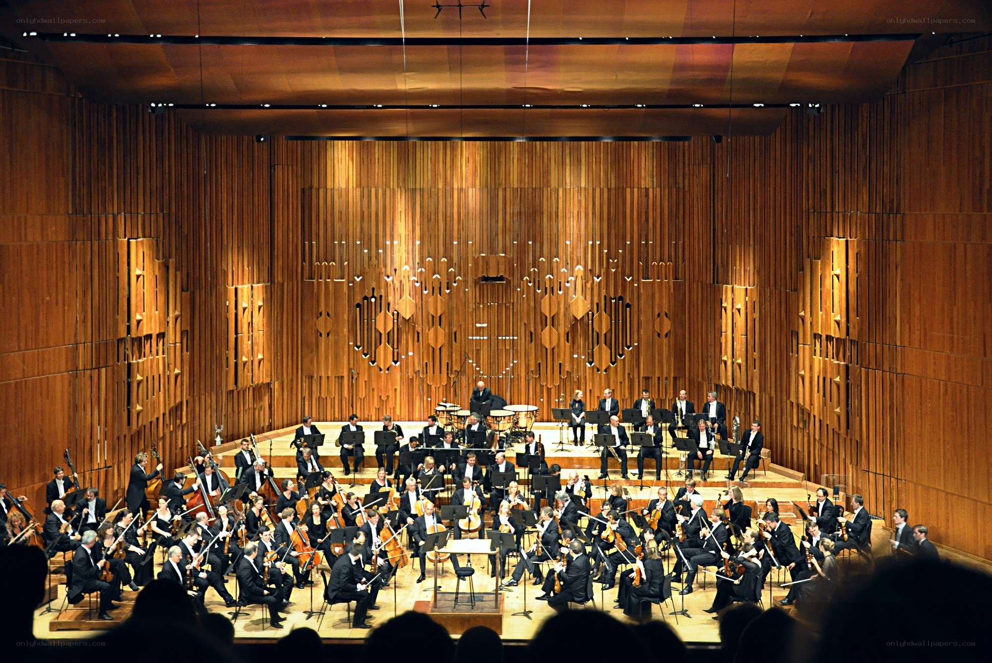 Orchestra performing in concert hall