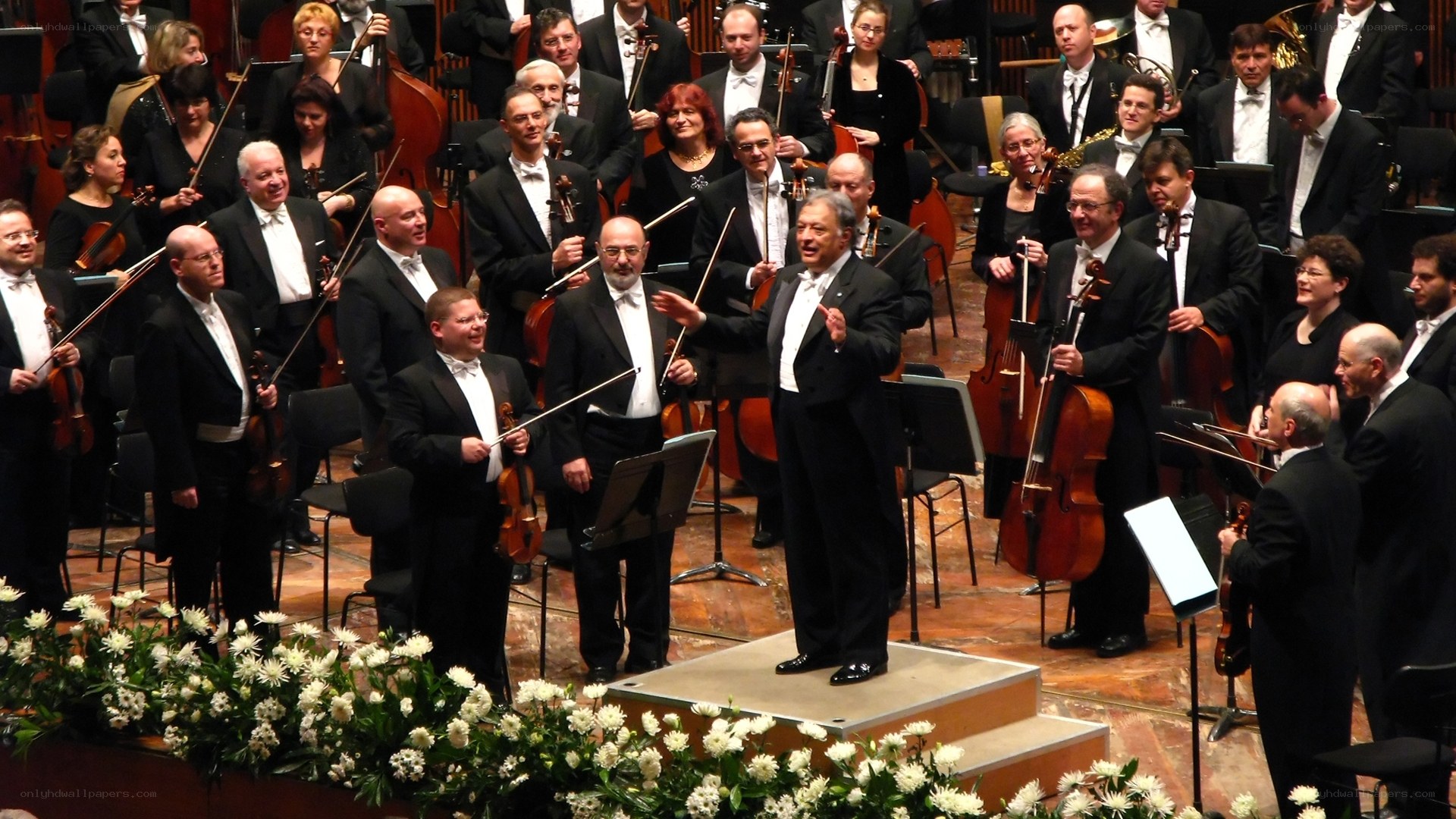 Orchestra performing on stage