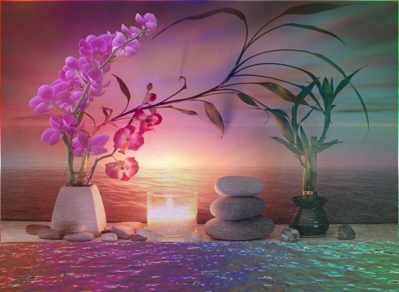 Orchid and Bamboo Arrangement
