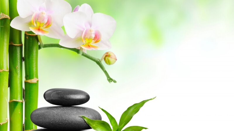 Orchid and Bamboo
