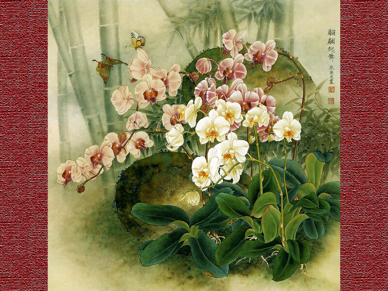 Orchid and Butterflies