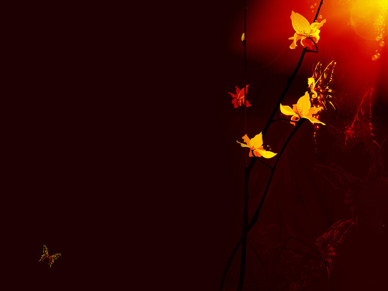 Orchid and butterfly in warm light
