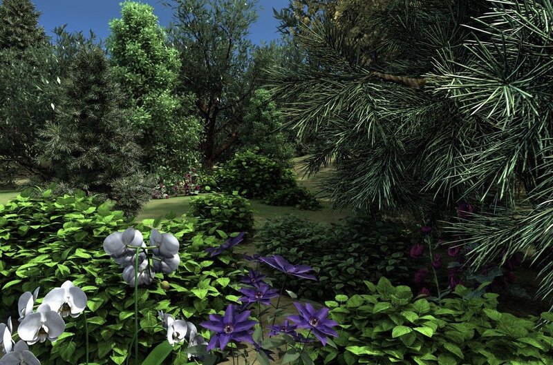 Orchid and Clematis Garden