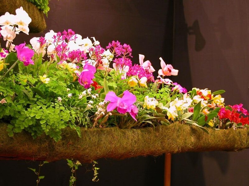 Orchid and flower arrangement