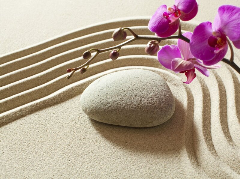 Orchid and Stone in Sand