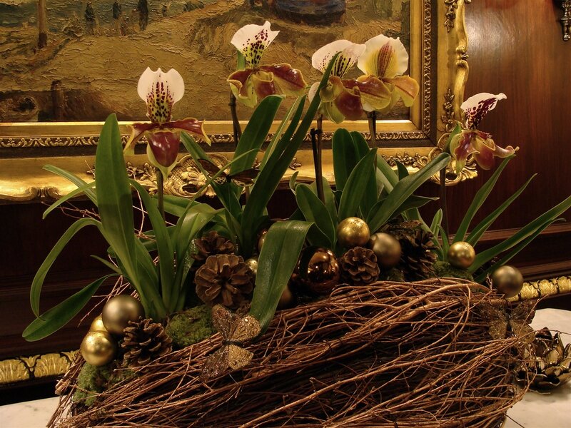 Orchid Arrangement in Nest