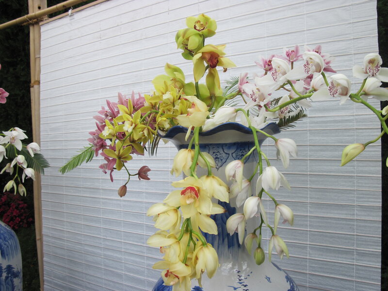 Orchid Arrangement in Vase