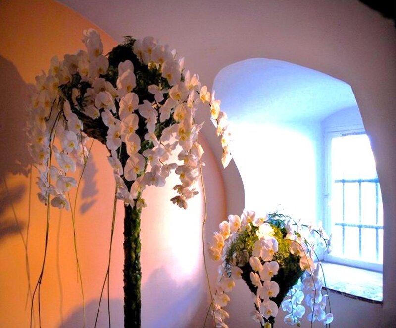 Orchid arrangements in a room