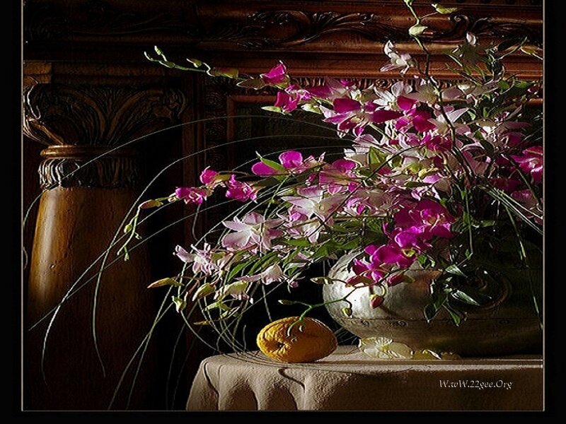Orchid Bouquet in Vase