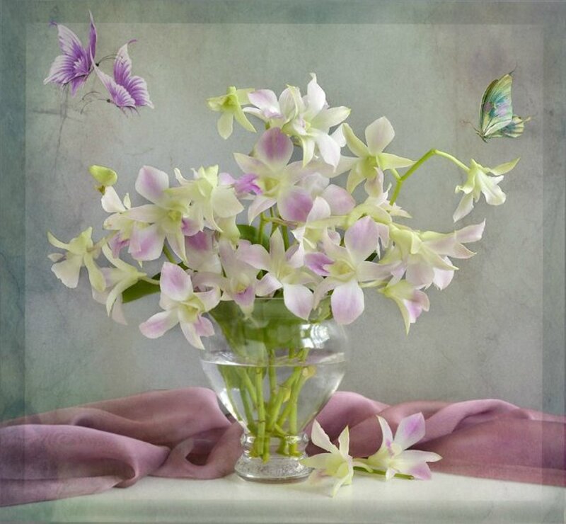 Orchid Bouquet in Vase — White