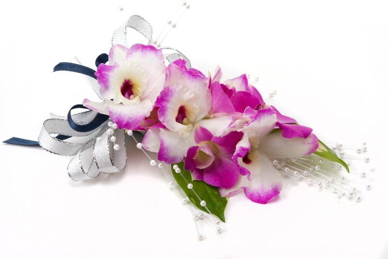 Orchid Corsage