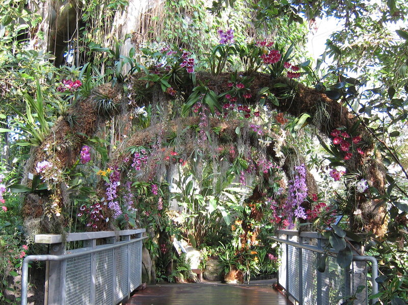 Orchid-covered Archway