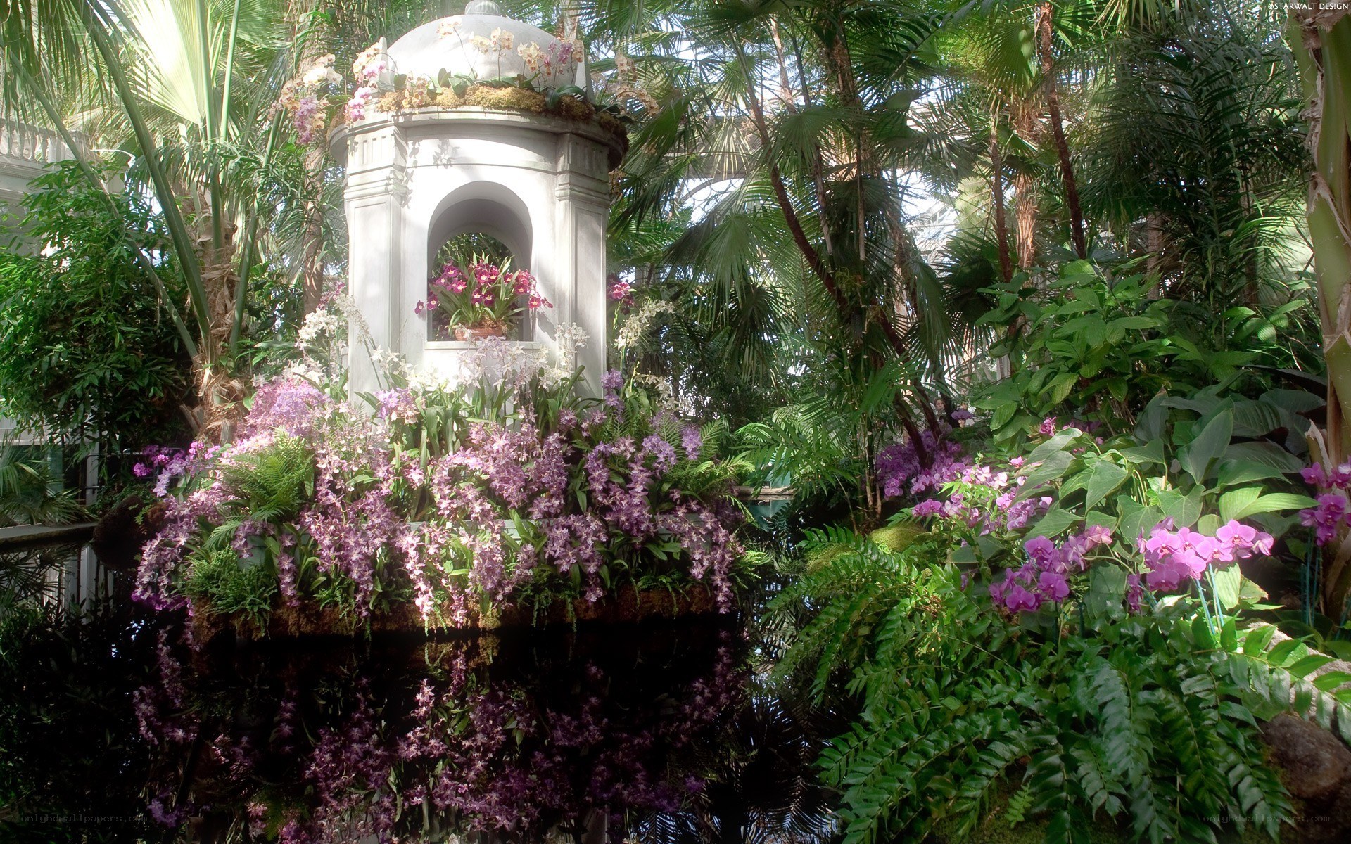 Orchid display in conservatory