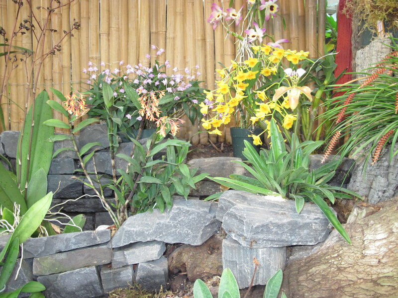 Orchid Display in Garden — Green, Serene