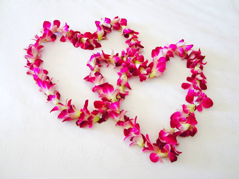 Orchid Flower Lei