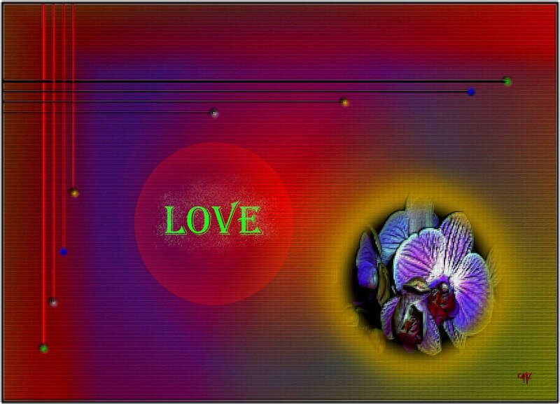 Orchid Flower with Text