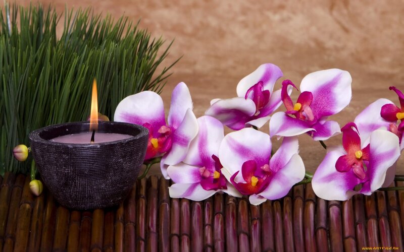 Orchid Flowers and Candle — Purple