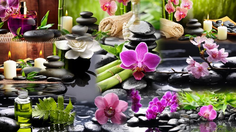 Orchid Flowers and Spa Stones