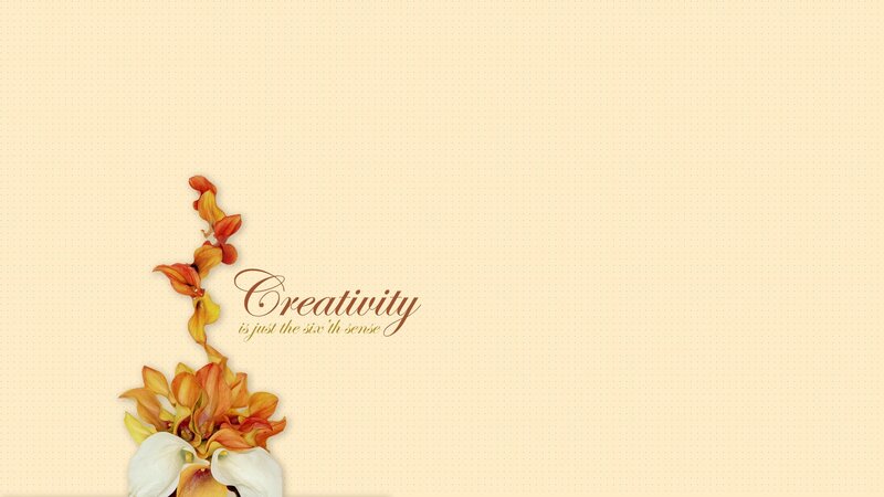Orchid Flowers and Text