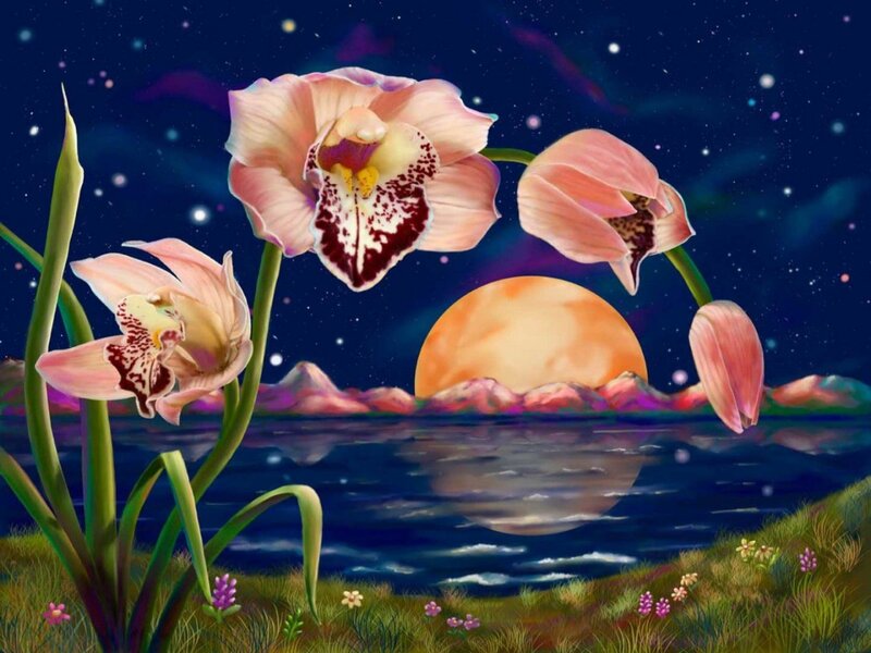 Orchid Flowers at Night — Blue