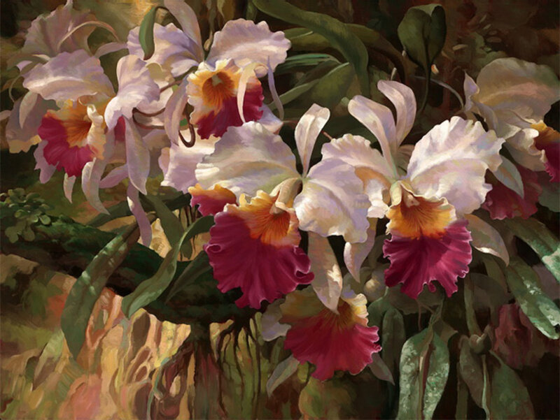 Orchid Flowers in Bloom — White, Serene