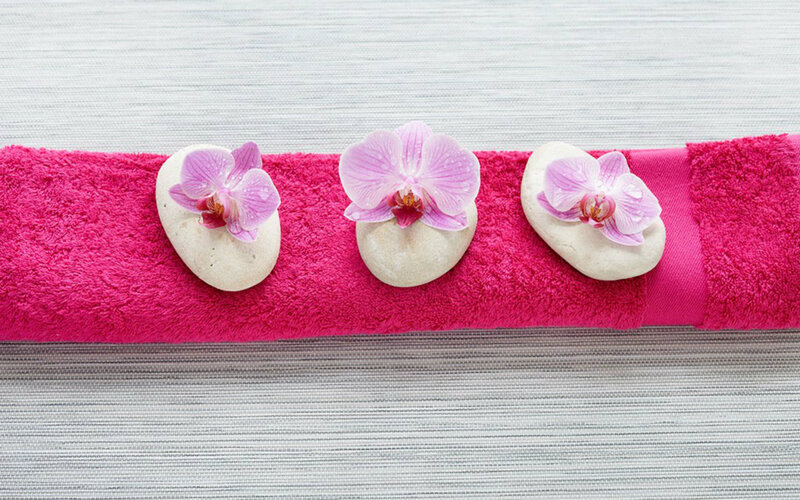 Orchid Flowers on Stones