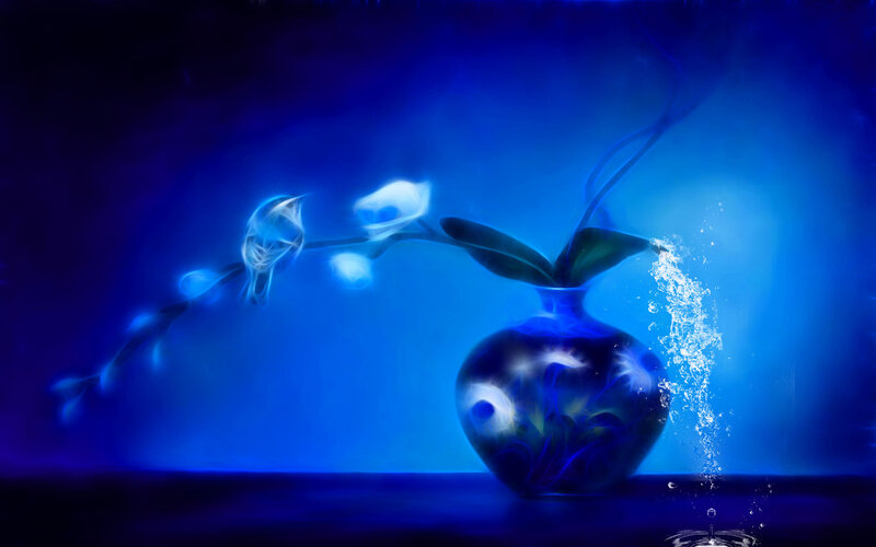 Orchid in Blue Vase